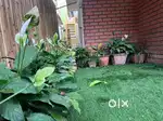 Shared room in a beautiful villa near GKVK road BANGALORE