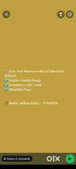 Website development