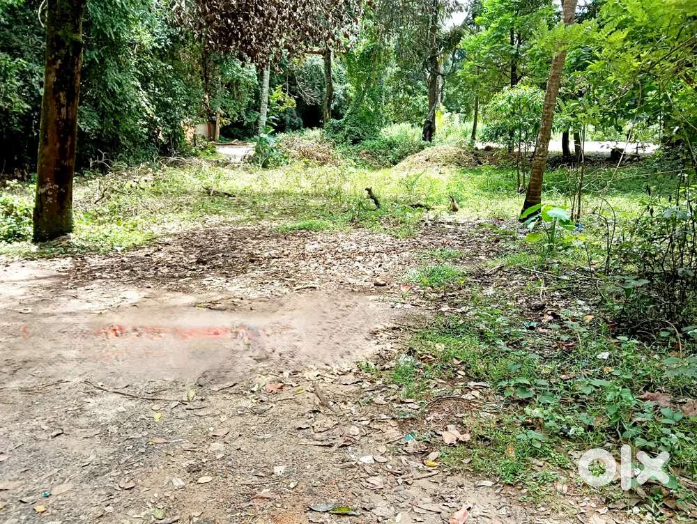 പെരുമ്പാറ ജംഗ്ഷന് സമീപം മെയിൻറോഡ് ഫ്രണ്ടേജിൽ 3 സെന്റ്