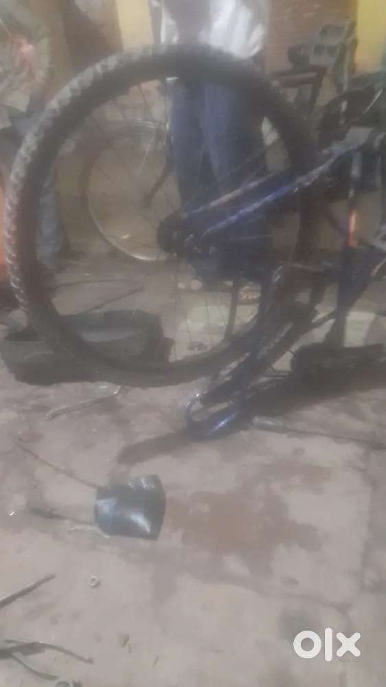 Orignal. Cycle