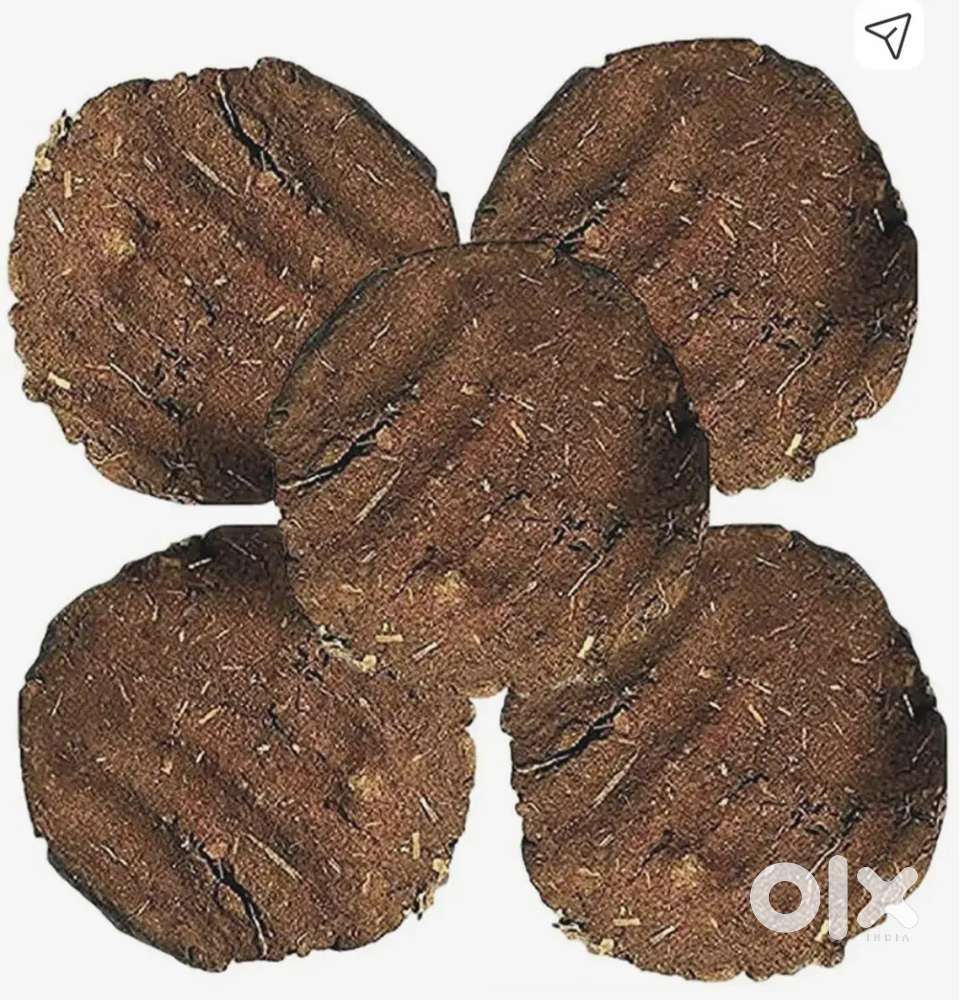 Desi gay ke uple no 1