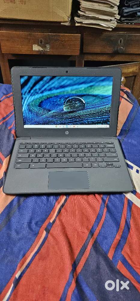 HP Chromebook Laptop (NEW)