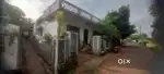 House for lease