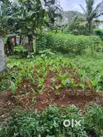 Changanacherry kurichi villagil sthalam vilpanakku