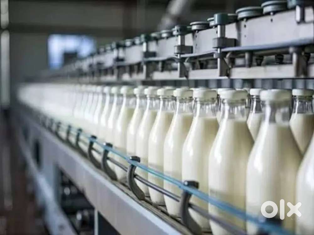 Wanted m/f packing staffs [ partime/ fulltime] 9.30 to 5 30