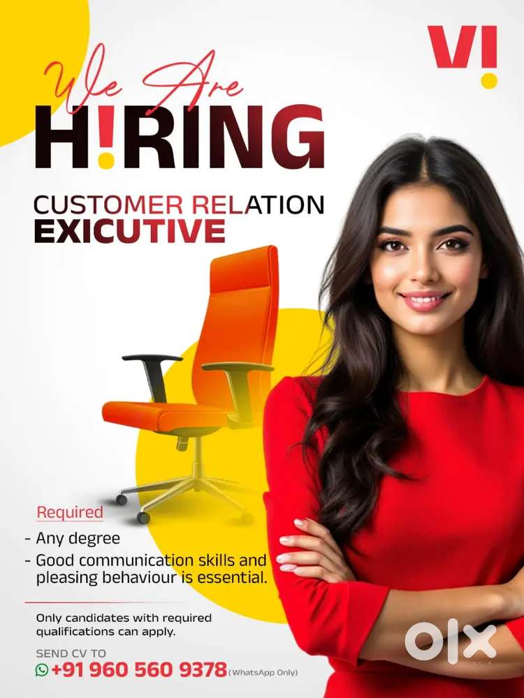 Customer service executive