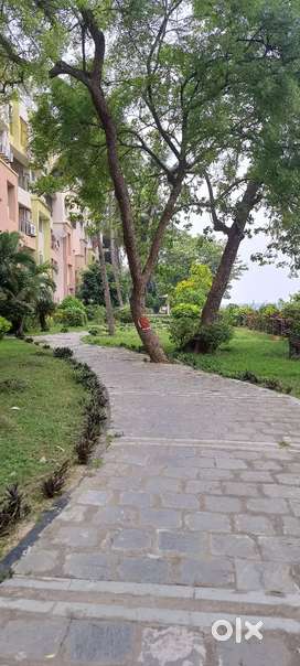 Luxury River side Flat for Rent (north- south open)