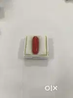 Moonga gem stone red coral