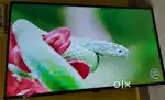 Mi 50 inch 4k Android Good condition