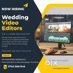 wedding highlights only editor