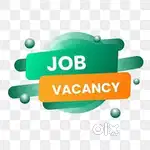 Job vacancies Textiles Business