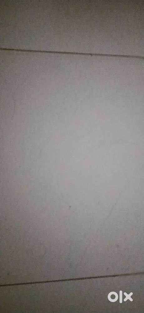 1bed room with ac kitchen and dining hall only women pg