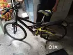 Hero bad boy