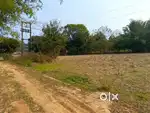 I want to sell my land at sonapur