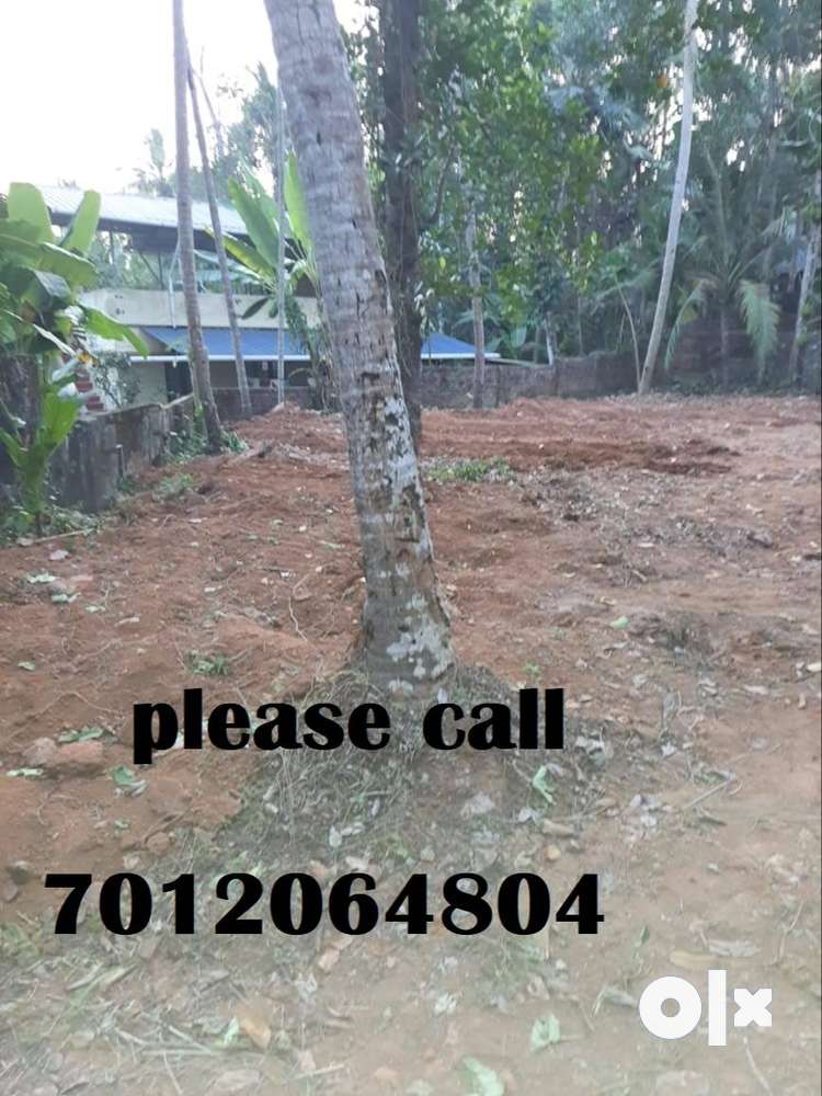 (ID-U192382) RESIDENTIAL 12.75 CENT LAND FOR SALE IN JAGATHY