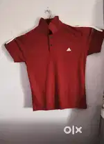 T shirt polo of adidas