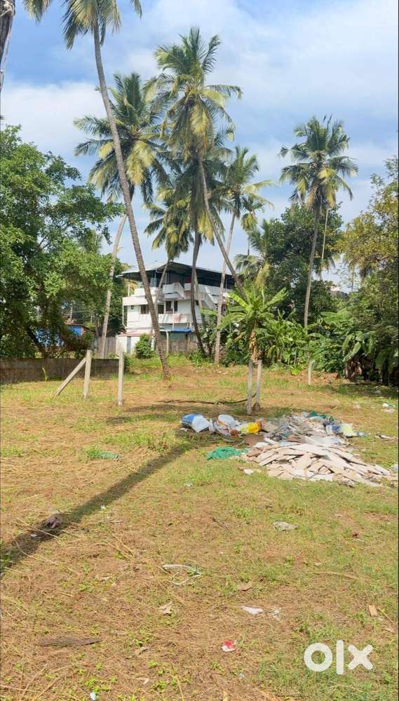 Residential land for sale near kerala varma college, Kanattukara, TSR