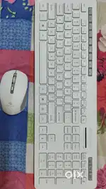 Zebronics Companion 500 (Combo)