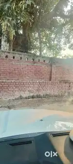 Plot size 25 yards commercial chattarpur