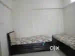 No brokerage pg paying guest cleaning wifi gas free with huge balcony