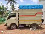 Tata ace gold