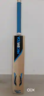 Cricket Bat