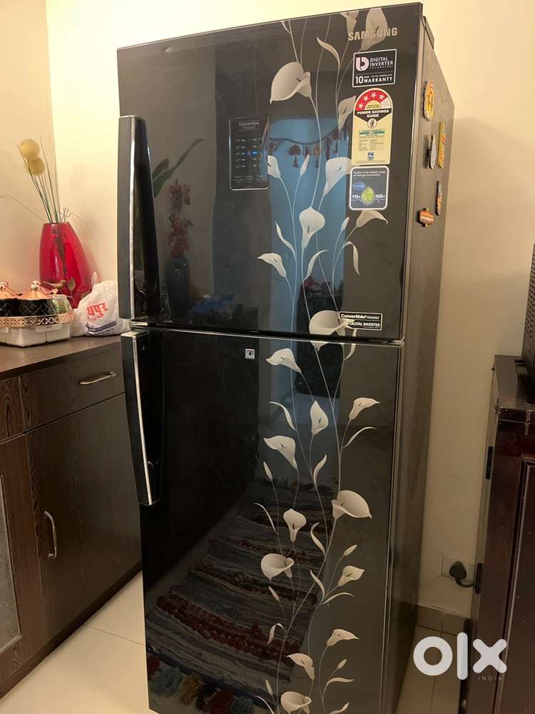 Convertible Freezer (Samsung)