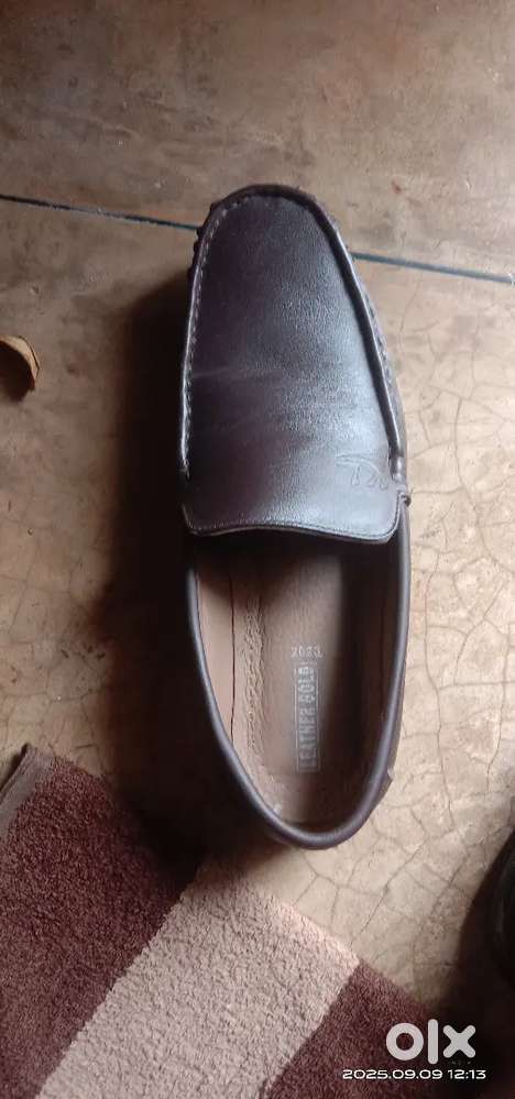 New leather and campus shoes, no used