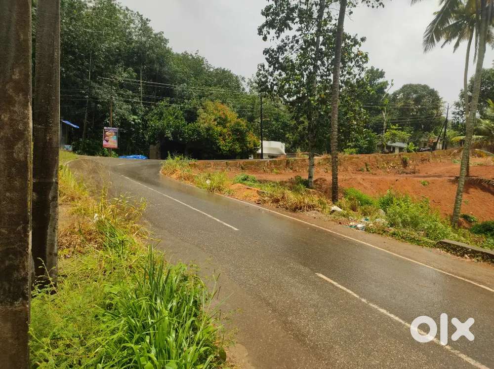 Njandoorkkonam 17 cent.. ( no brockers )