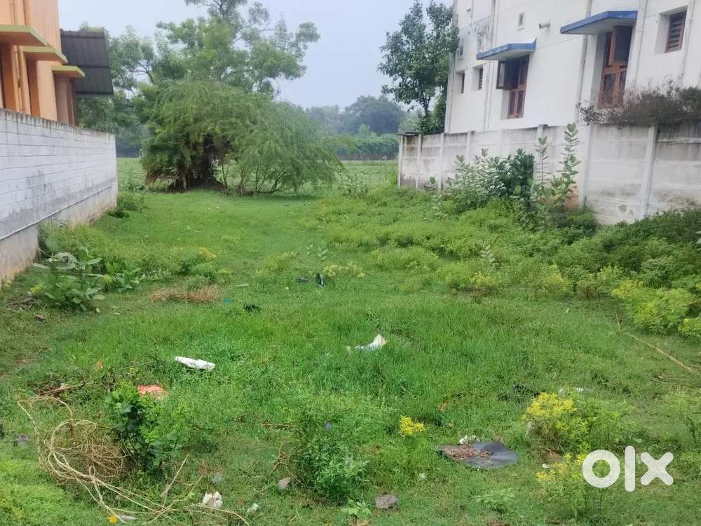 Thiruvidaimarudur plot