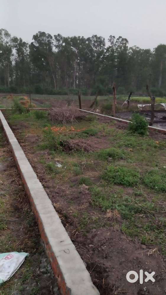 Urgent plot for sale