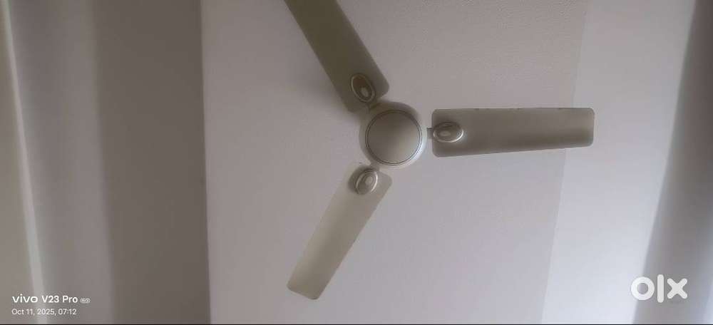 Set of Six Celing Fans