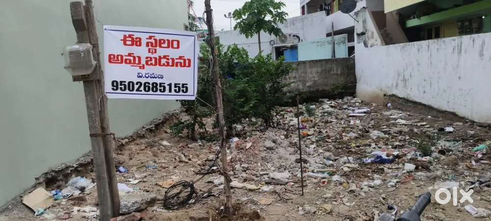 Kakinada , gudari gunta Near dmart