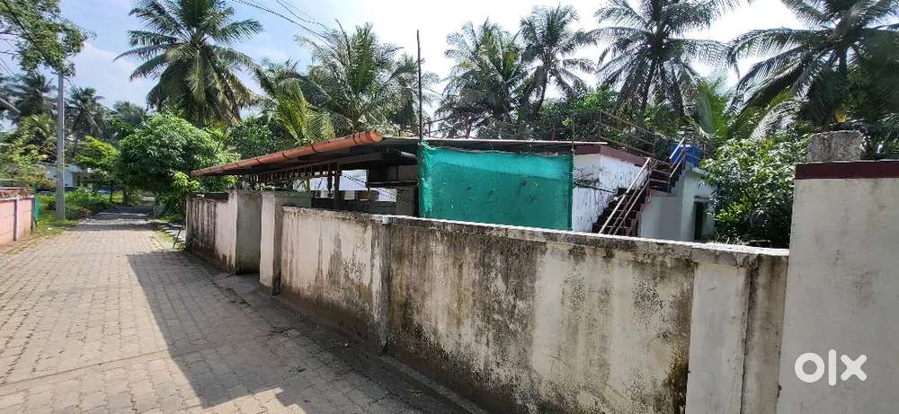 1bhk house is for rent near anikode jucntion