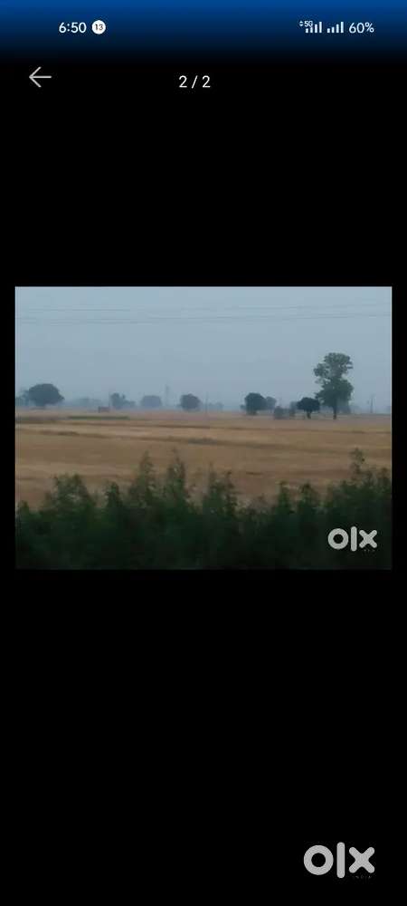 11 vighe agriculture land for sale