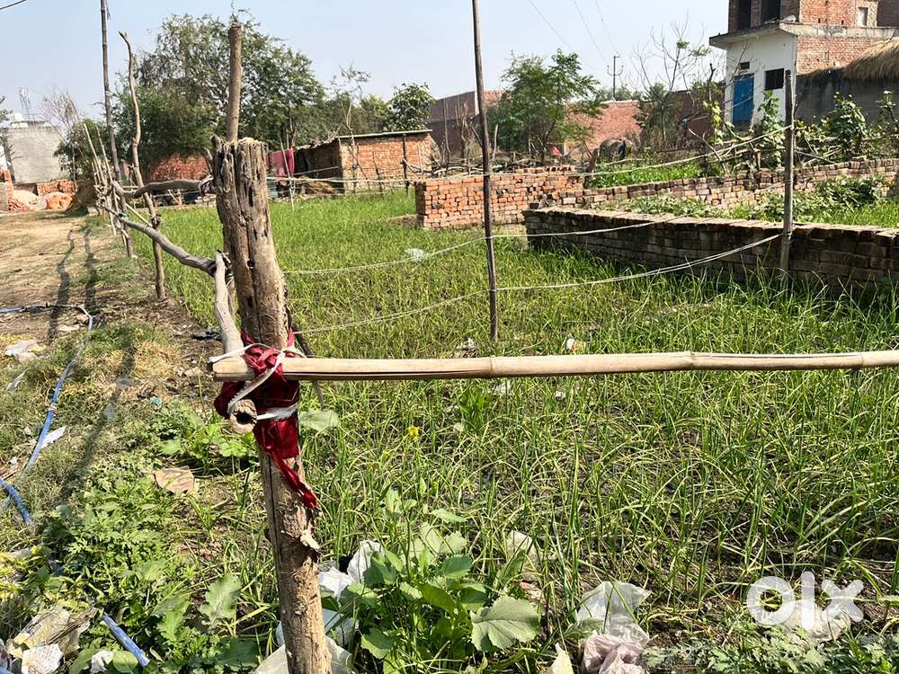 Dayam pur me 175 gaj pilot h