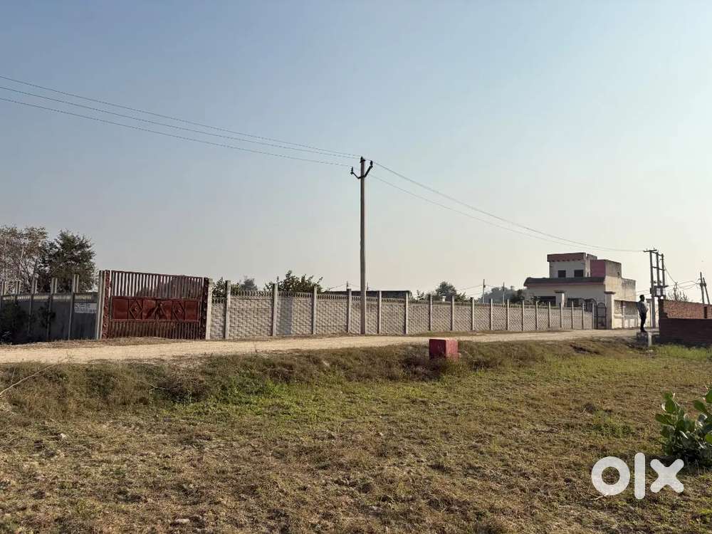 50 to 500 sq yd available