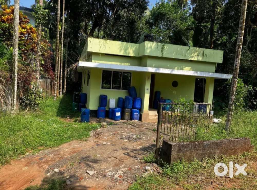 1 acre land for sale in Paittakulam