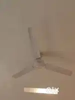 Ceiling Fan Crompton
