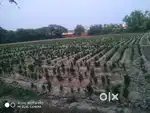 Property Sale in Metro city Rithani MEERUT Pin-250103 Uttar Pradesh.