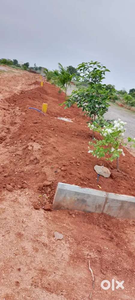 Plots in KOTHUR