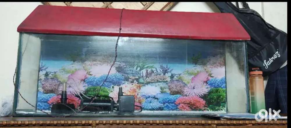 Fish Tank with accessories for sale
