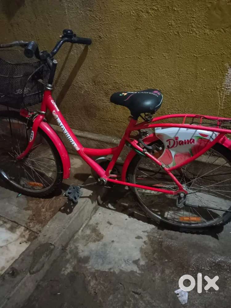 2024 Model Only 2.3 Months uses
