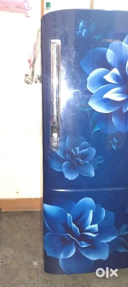 Argent me sale karna hai 4 month old hai