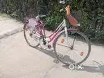 Cycle avon