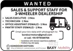 Sales Executive