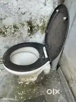 Toilet Seat Europeon