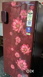 Havells loyd 188L single door refrigerator