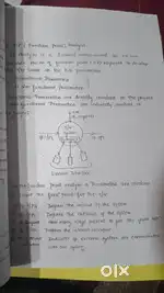 Computer science handwritten printed notes