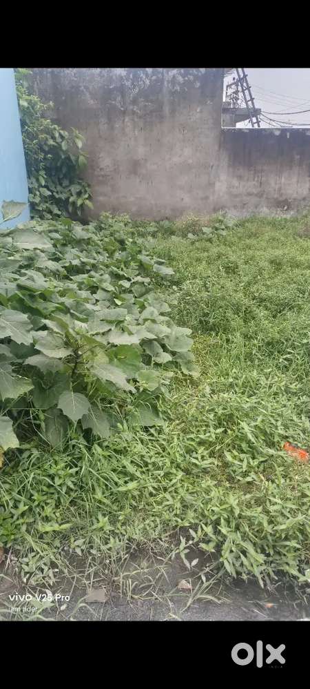 Plot 17*5==30==525 foot Two side open